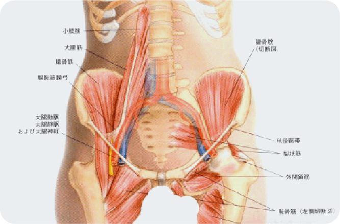 鼠径部痛